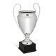 Coppa alzata champions league