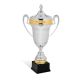 Coppa economica stile coppa dei campioni