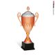  Coppa bronzo con manici coperchio e puntale 45h
