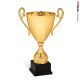 Coppa alzata champions league