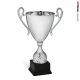Coppa alzata champions league