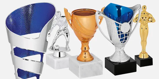 Coppa trofeo personalizzata con coperchio – Hole Gadget